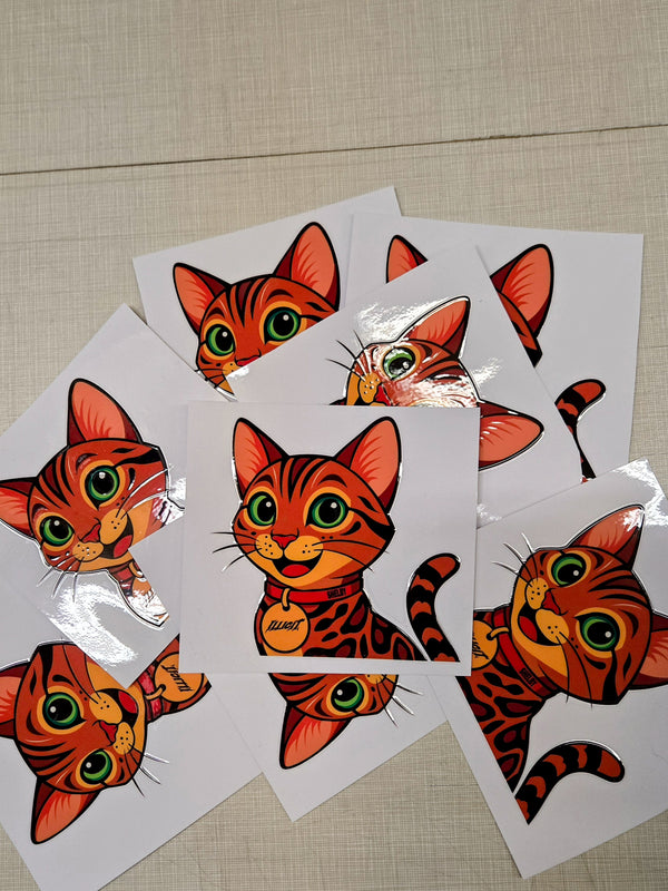 Cat Shelby Peeker Sticker