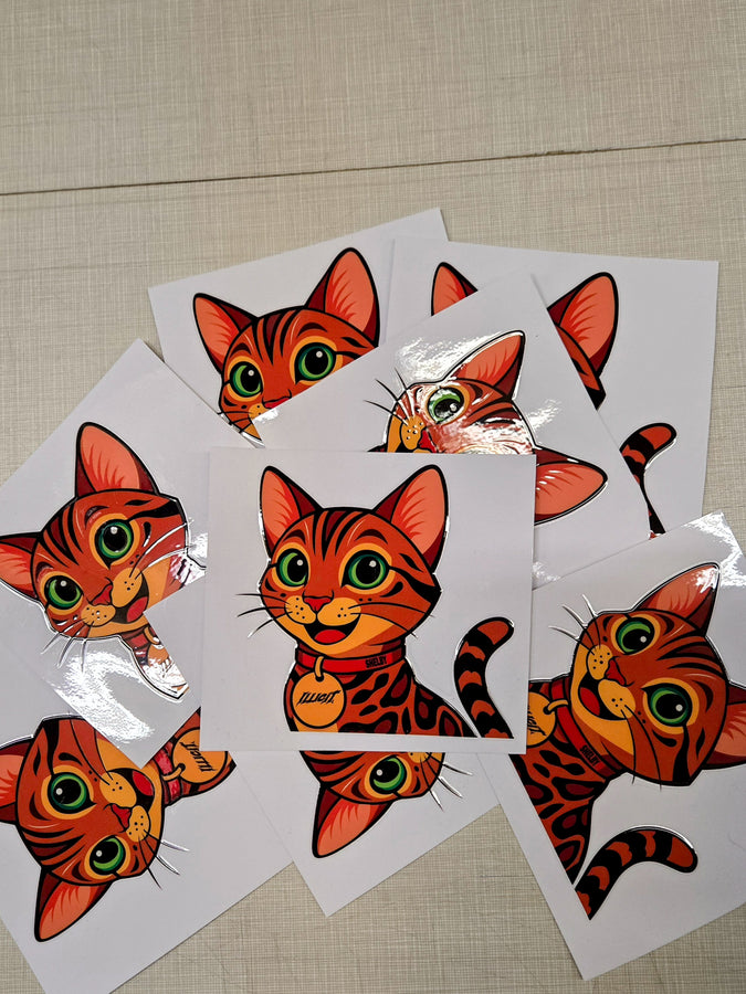 Cat Shelby Peeker Sticker